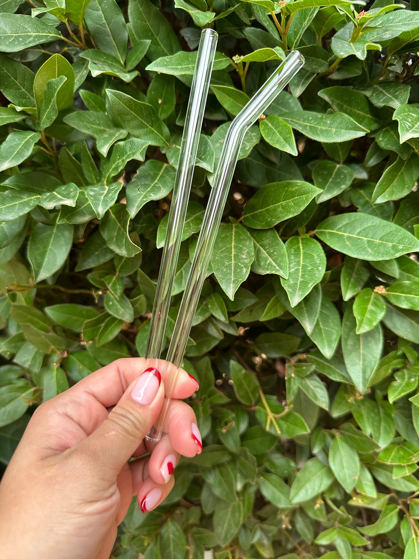 Glass straw with brush